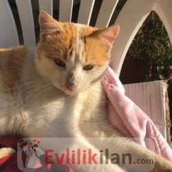 B13AA4C2-31F6-4E94-BDA2-8E3D9063318B