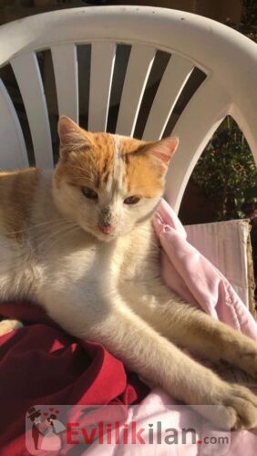 B13AA4C2-31F6-4E94-BDA2-8E3D9063318B B13AA4C2-31F6-4E94-BDA2-8E3D9063318B